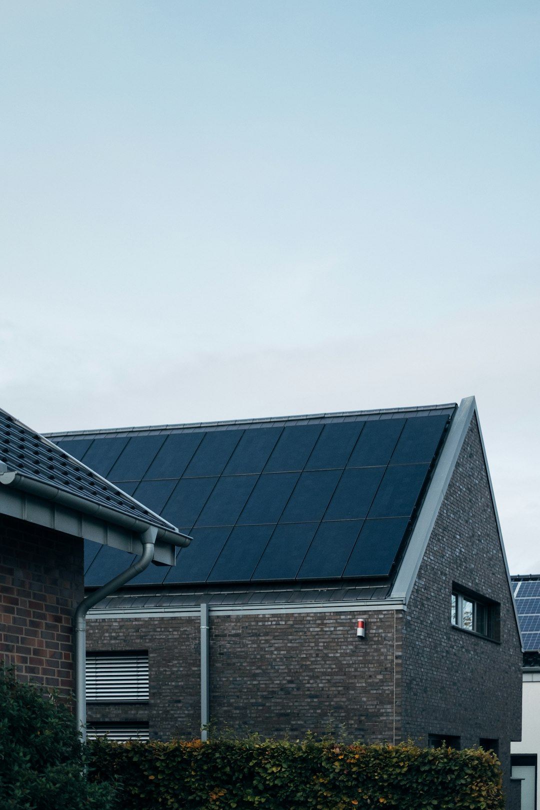Services the future is renewable