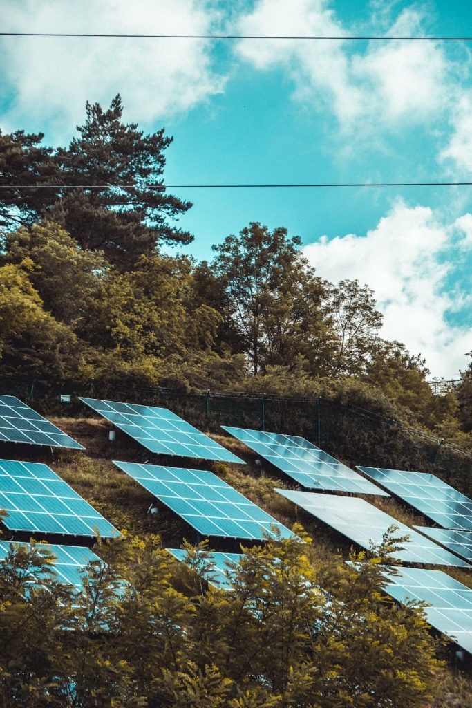 solar-panels-on-green-grass-field-gd8io0e4ozm